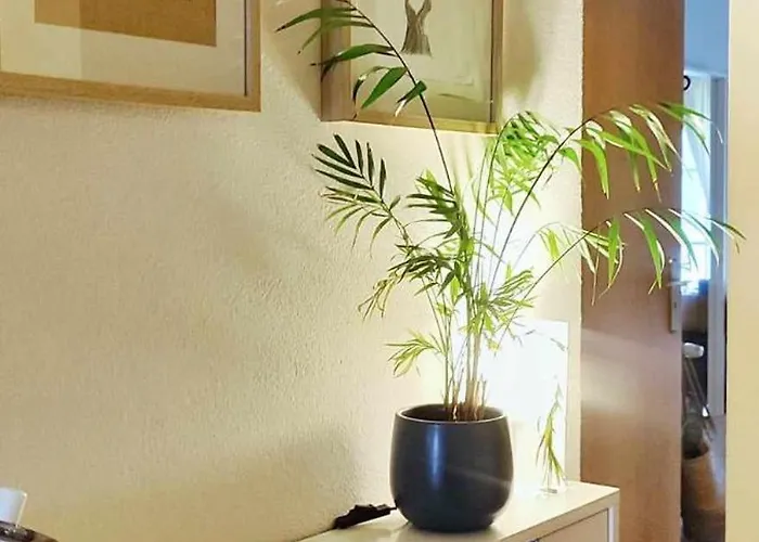 Apartmento Soma Apartmán *